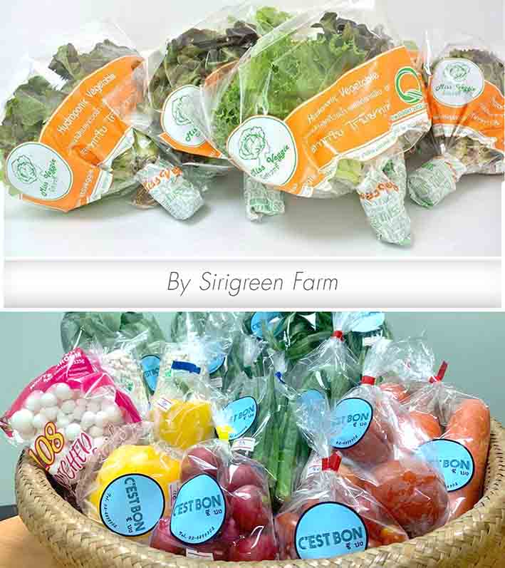 missveggie