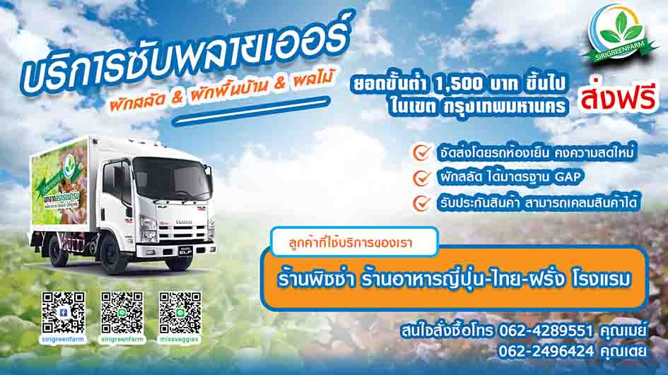 supplier, บริการจัดส่งผักผลไม้, บริการจัดส่งผักสลัด, พระราม3, กรุงเทพ, SUPPLIER, ถ่านกะลาอัดแท่ง, ถ่านไม้ยูคา